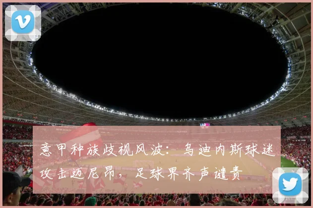 意甲种族歧视风波：乌迪内斯球迷攻击迈尼昂，足球界齐声谴责